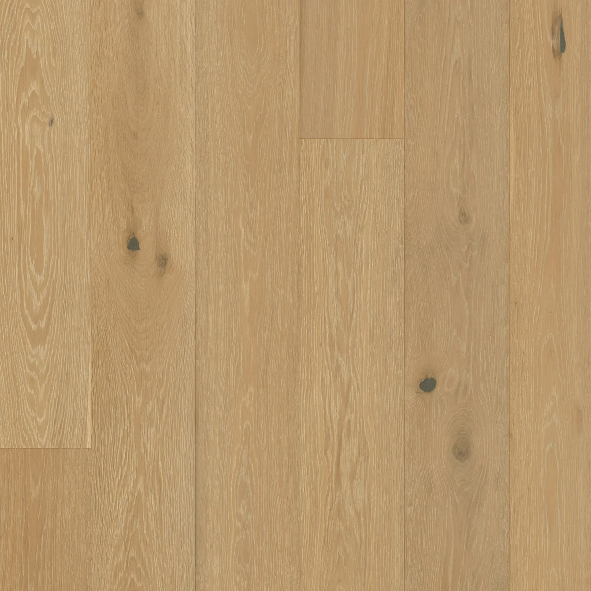 Aruba Engineered Flooring Engineered Hardwood Flooring Reward - Aruba