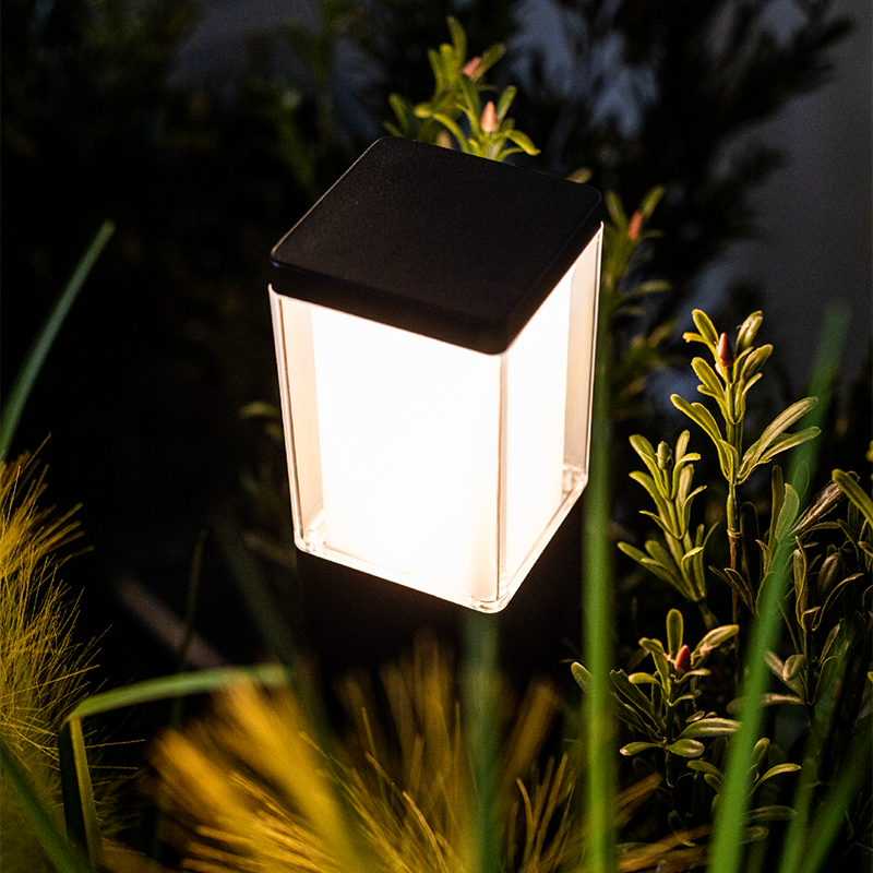 BOLD Cube Low BOLD Cube Low